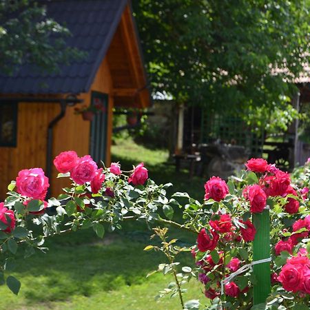 Ivona - Kuca Za Odmor Perusic - Stara Lika Apartman Kültér fotó